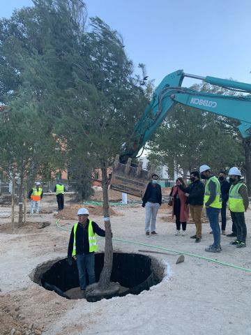 El Parque Almansa incorpora 130 nuevos pinos entre los 200 árboles que incrementan su masa arbórea
