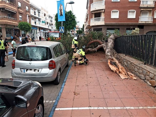 Dos personas heridas al desplomarse un gran árbol en Santiago de la Ribera