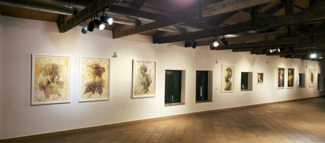 Vista parcial de la exposición en el Museo de San Javier